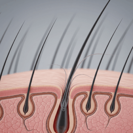 Formación Exohair: Exosomas + PRP Capilar